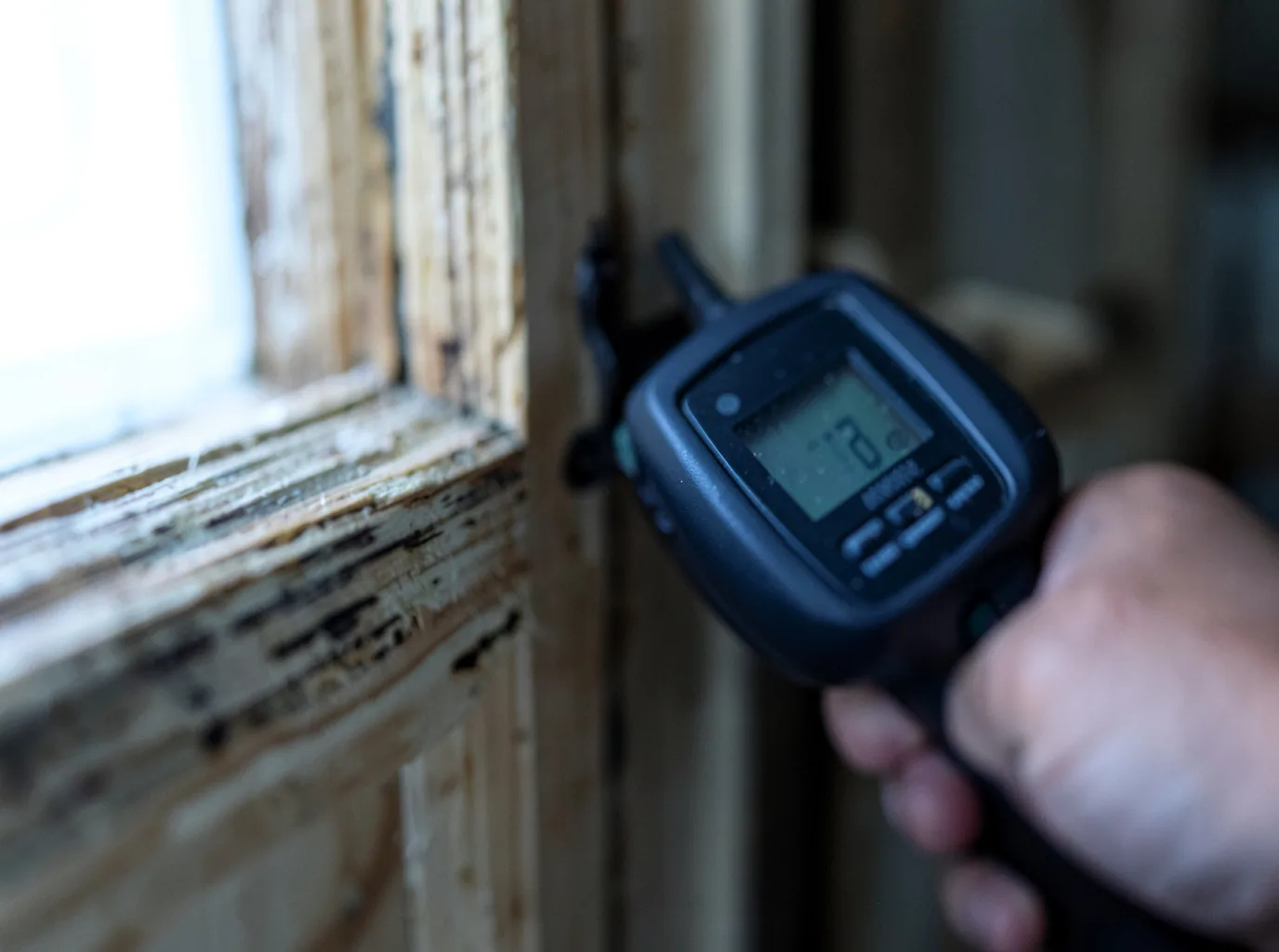 Moisture Inspection And Documentation in Shamrock, TX